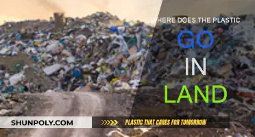 The Mystery of Plastic's Final Resting Place