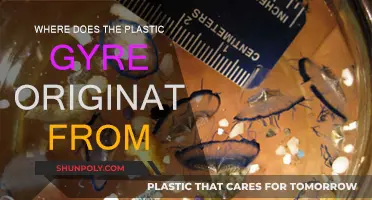 The Plastic Gyre: Origin and Impact