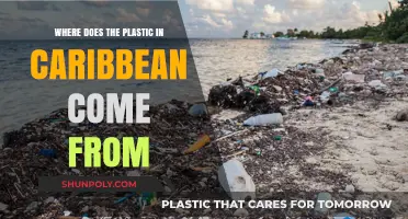 Unveiling the Origins of Plastic Pollution in the Caribbean