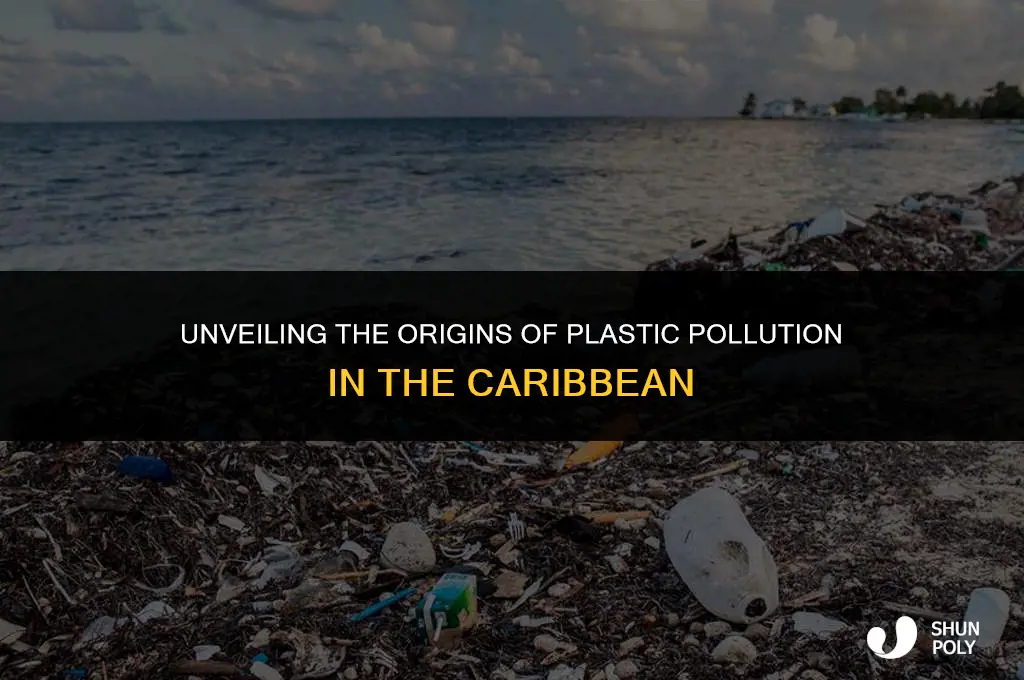 where does the plastic in caribbean come from