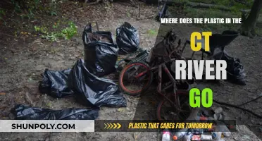 Tracing the Journey: Where Does the Plastic in the CT River Go?