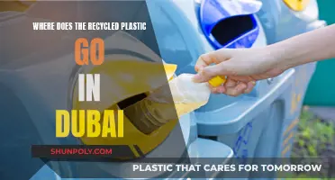Dubai's Recycled Plastic: Where Does It End Up?