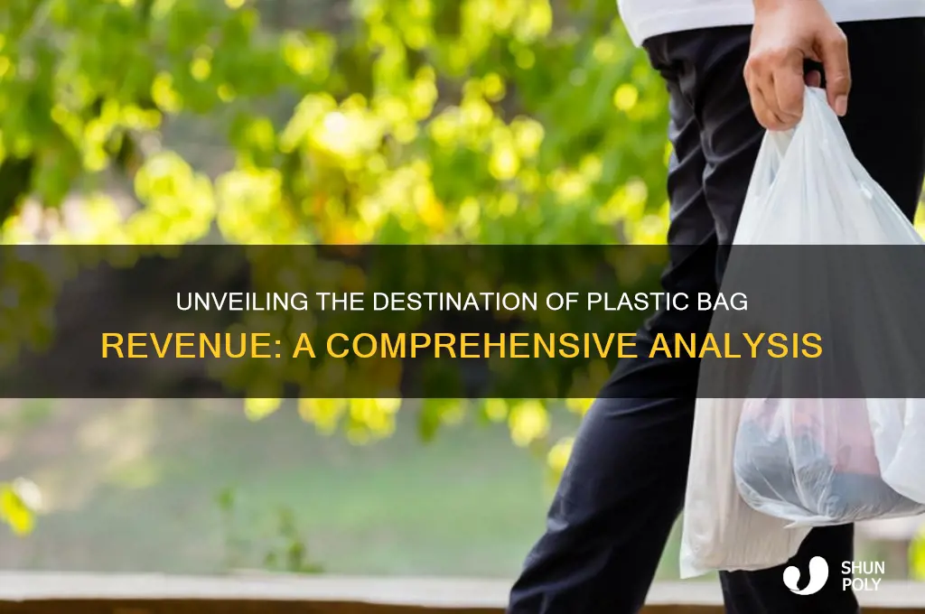 where does the revenue from plastic bags go