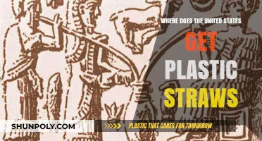 Tracing the Origins: Where Does the U.S. Source Plastic Straws?