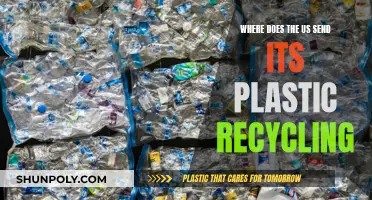 The US Plastic Recycling Destination: Where Does It Go?