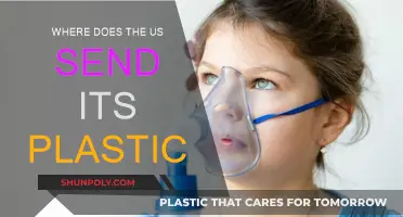 The US Plastic Export Destinations