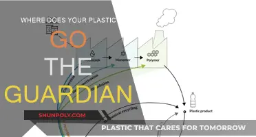 The Guardian's Exposé: Where Does Your Plastic Trash Go?