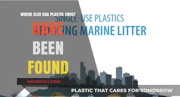 Exploring the Global Impact: Plastic Crust Discoveries Beyond Our Shores