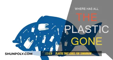 The Mystery of Missing Plastic: Where Did It Go?