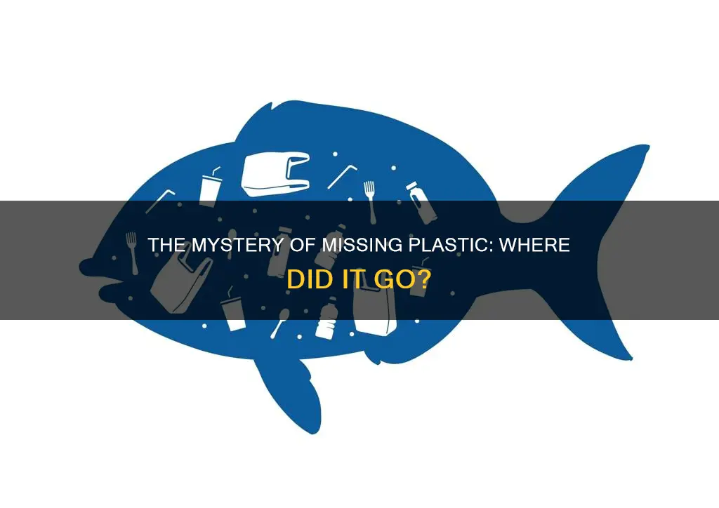 where has all the plastic gone