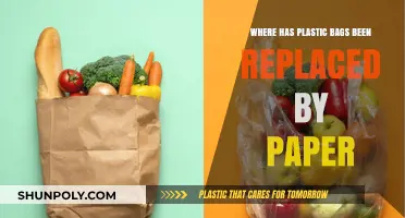 Paper Bags Take Over: Where Plastic Shopping Bags Are Banned