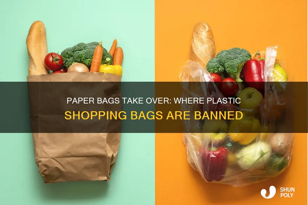 where has plastic bags been replaced by paper