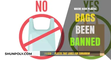 Global Shift: Countries and Cities Banning Plastic Bags for Sustainability