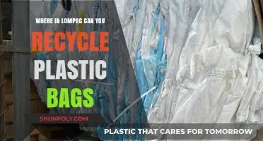 Lompoc's Plastic Bag Recycling: Where to Go and How to Help