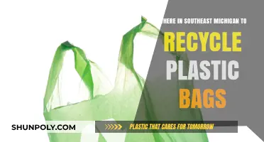 Southeast Michigan's Top Spots for Recycling Plastic Bags Easily