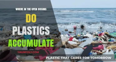 Exploring the Hidden Hotspots of Plastic Pollution in Our Oceans