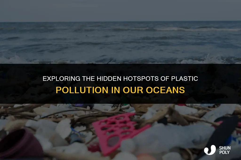 where in the open oceans do plastics accumulate