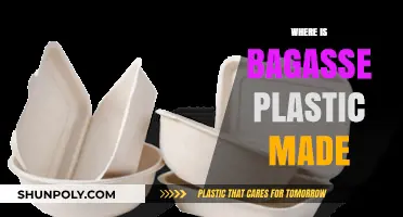 Where Bagasse Plastic is Produced: A Sustainable Manufacturing Journey