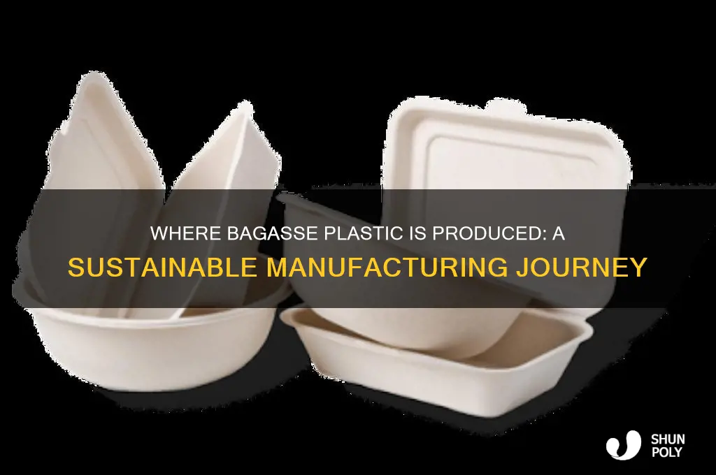 where is bagasse plastic made