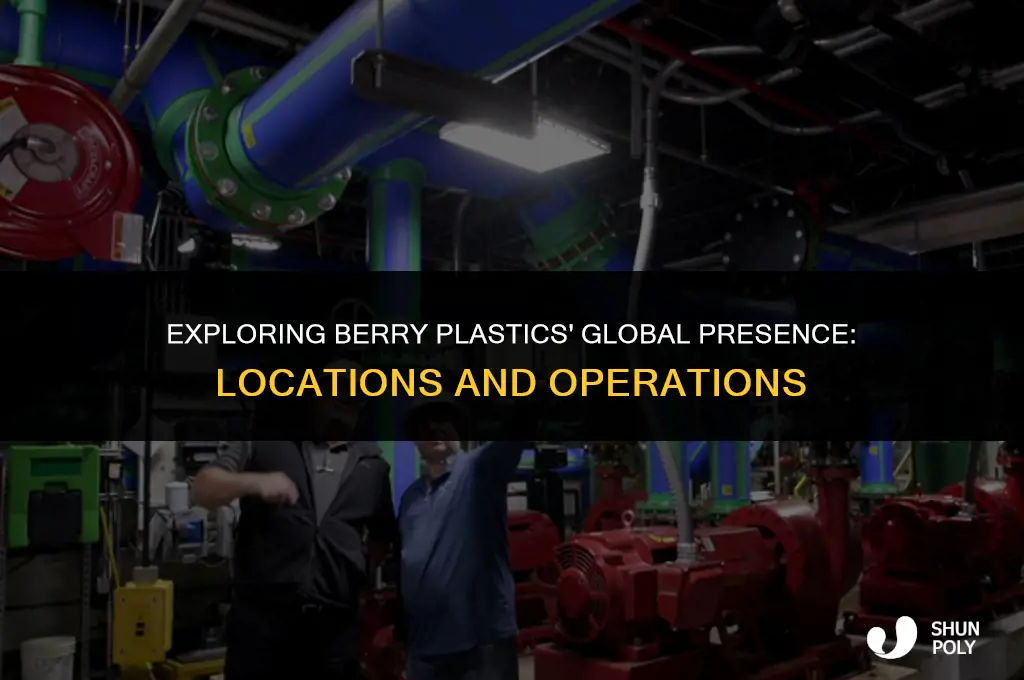where is berry plastics located