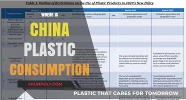 Decoding China's Plastic Consumption: Trends and Environmental Impact