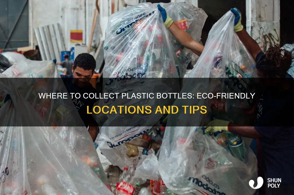 where is collect plastic bottles
