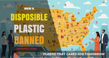 Exploring the Global Movement Against Disposable Plastics