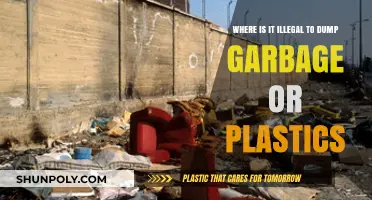 Global Guide to Illegal Dumping: Where Garbage and Plastics Are Off-Limits