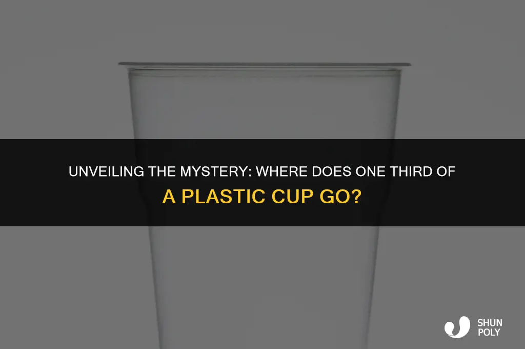 where is one third of a plastic cup