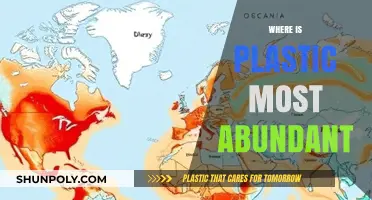 Ubiquitous Plastic: Unveiling the Most Abundant Locations