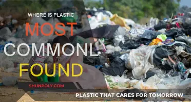Plastic Pollution: Where It's Found Most Often