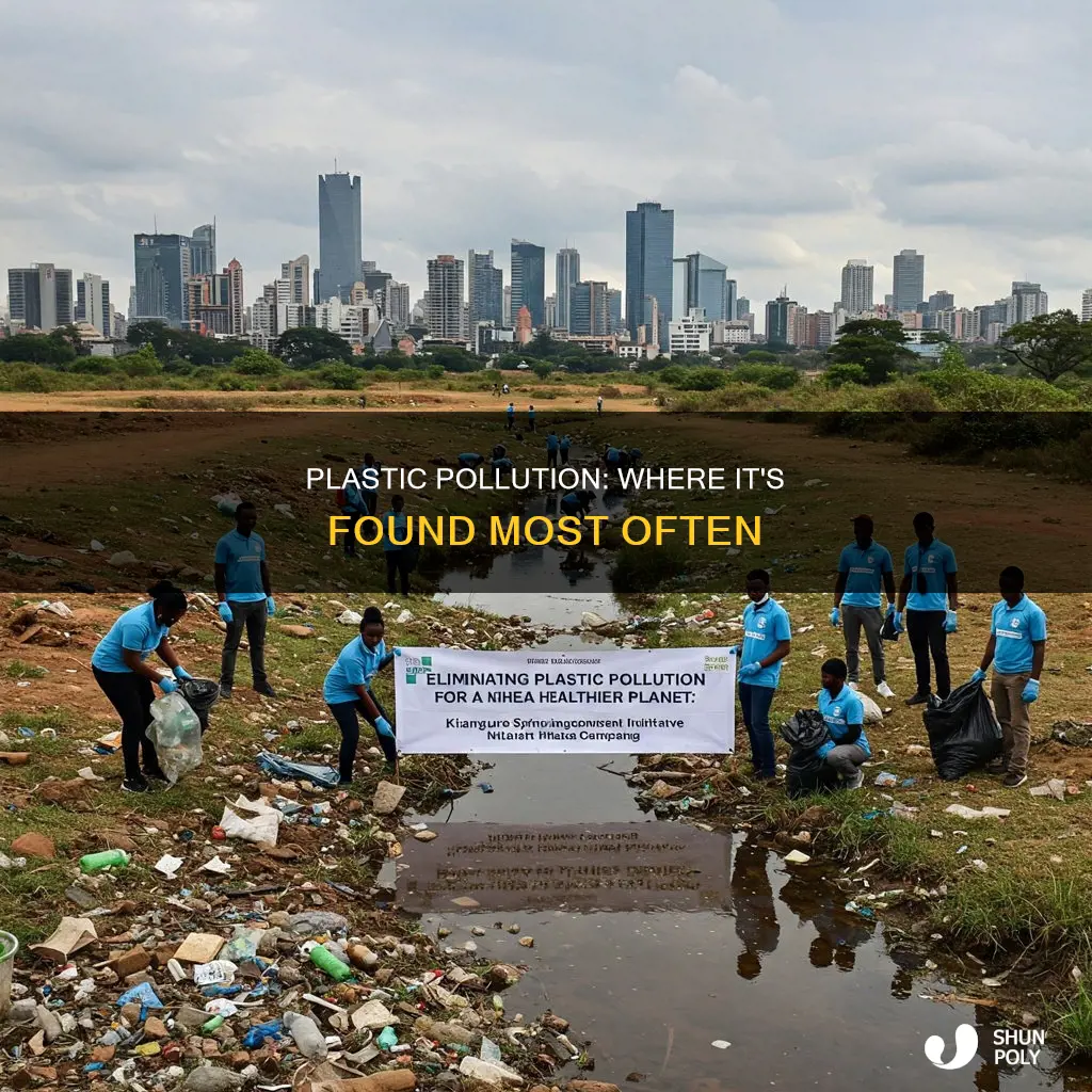 where is plastic most commonly found