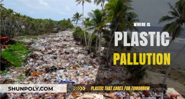 The Pervasive Problem of Plastic Pollution: Where It Lurks