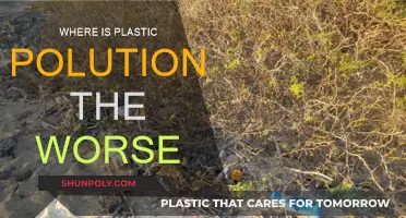 Plastic Pollution's Worst Offenders: A Global Crisis