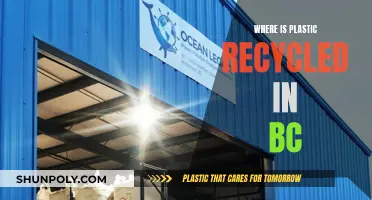 BC's Plastic Recycling Plants: Where and How?