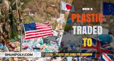 Global Plastic Trade Routes: Unveiling the Journey of Polymers