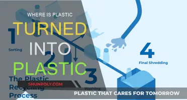 The Transformation of Plastic: Where Does it Go?