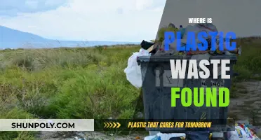 Tracing the Pervasive Presence of Plastic Waste in Our Environment