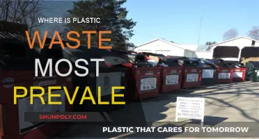 Plastic Waste: Where is it Most Common?