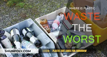 Plastic Pollution: Where is the Worst Impact?