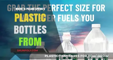 Poland Spring's Plastic Bottles: Uncovering Their Surprising Origin Story