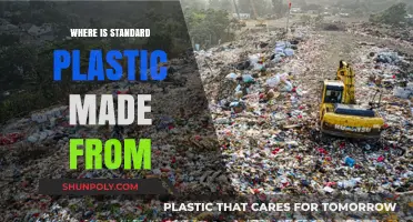 Unveiling the Origins: Where Standard Plastic is Made From