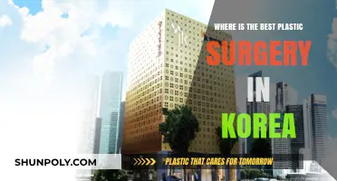 Discover Korea's Top Plastic Surgery Clinics: Expertise, Safety, and Results