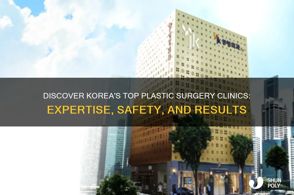where is the best plastic surgery in korea