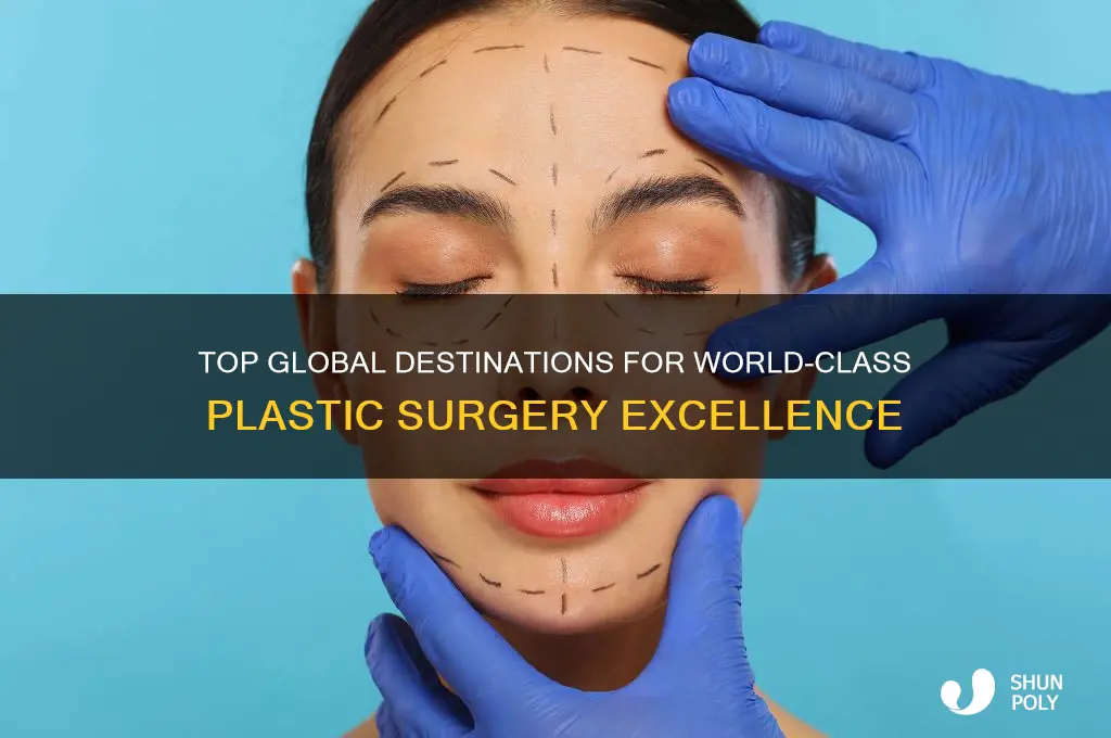 where is the best plastic surgery in the world