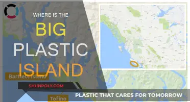 The Great Pacific Garbage Patch: A Plastic Island's Location