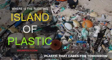 The Great Pacific Garbage Patch: A Floating Island of Plastic