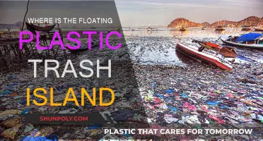 The Great Pacific Garbage Patch: A Plastic Island