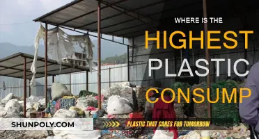 Plastic Consumption: Who's Leading the Global Pack?