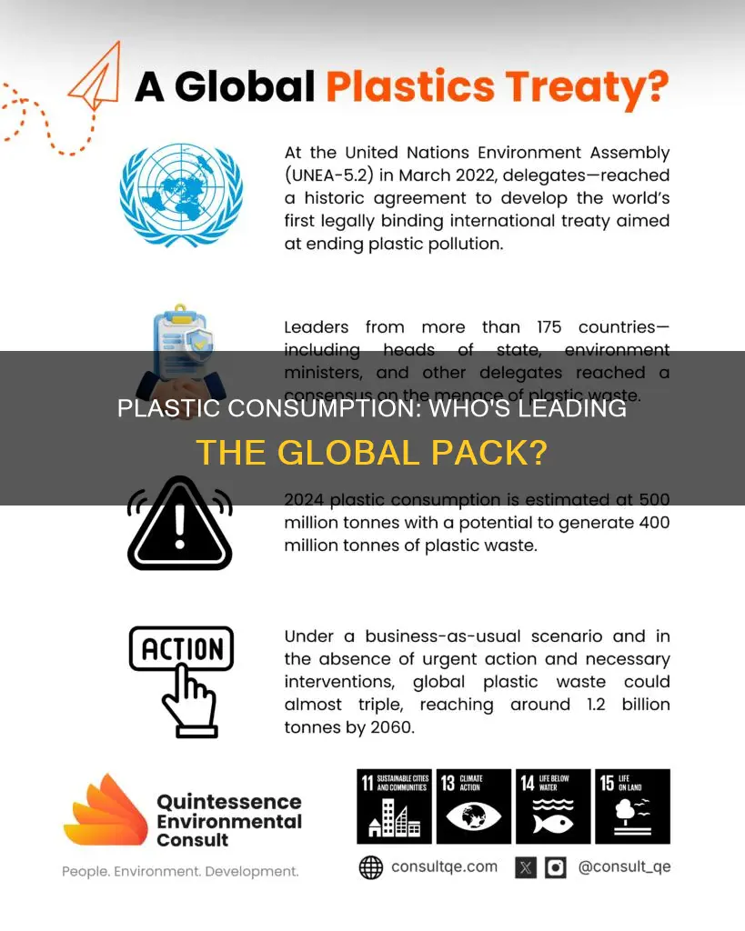 where is the highest plastic consumption